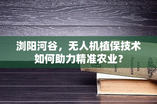 浏阳河谷，无人机植保技术如何助力精准农业？