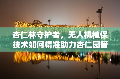杏仁林守护者，无人机植保技术如何精准助力杏仁园管理？