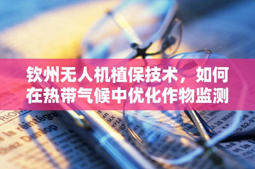 钦州无人机植保技术，如何在热带气候中优化作物监测与喷洒？