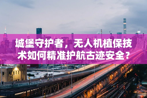 城堡守护者，无人机植保技术如何精准护航古迹安全？
