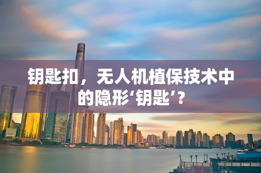 钥匙扣，无人机植保技术中的隐形‘钥匙’？