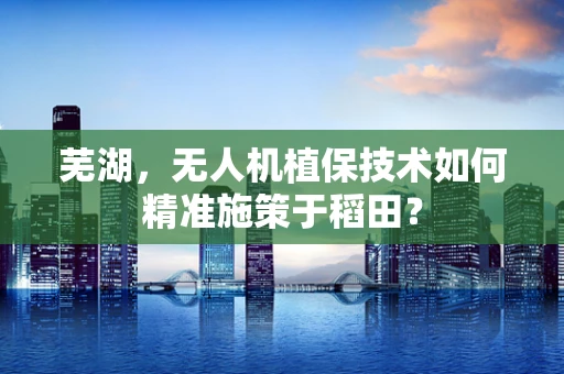 芜湖，无人机植保技术如何精准施策于稻田？