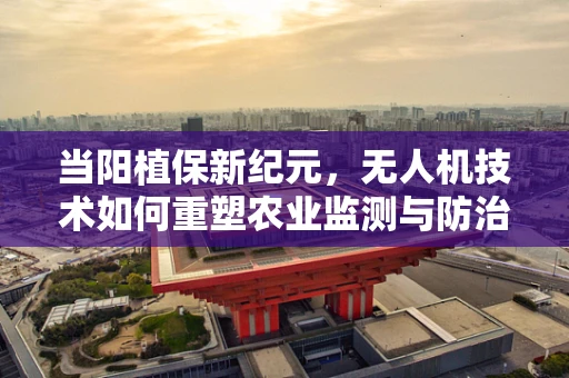 当阳植保新纪元，无人机技术如何重塑农业监测与防治？