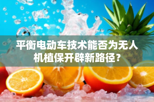 平衡电动车技术能否为无人机植保开辟新路径？