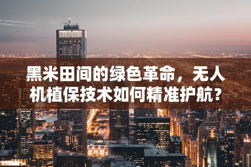 黑米田间的绿色革命，无人机植保技术如何精准护航？
