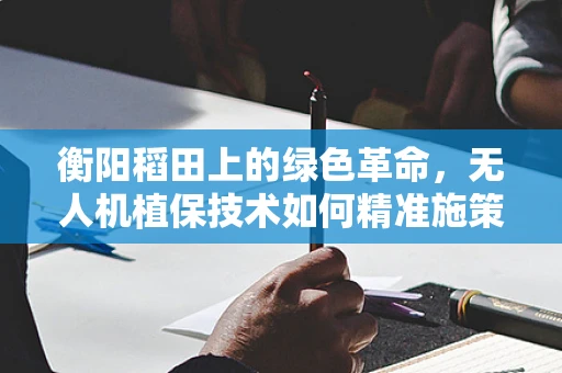衡阳稻田上的绿色革命，无人机植保技术如何精准施策？