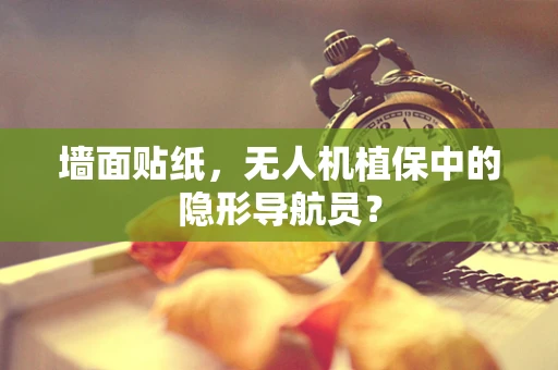 墙面贴纸，无人机植保中的隐形导航员？