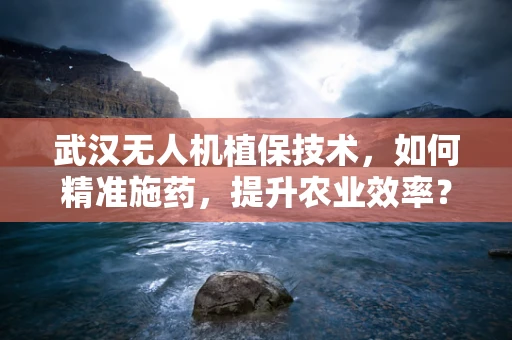 武汉无人机植保技术，如何精准施药，提升农业效率？