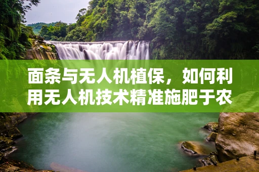 面条与无人机植保，如何利用无人机技术精准施肥于农田的‘面条’区域？