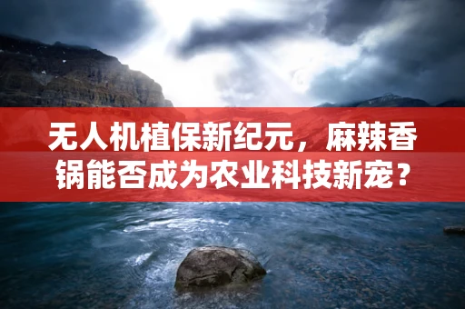 无人机植保新纪元，麻辣香锅能否成为农业科技新宠？
