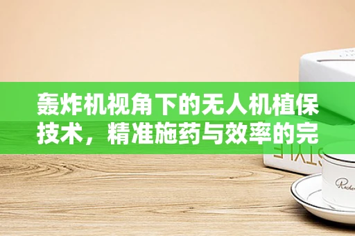 轰炸机视角下的无人机植保技术，精准施药与效率的完美平衡？