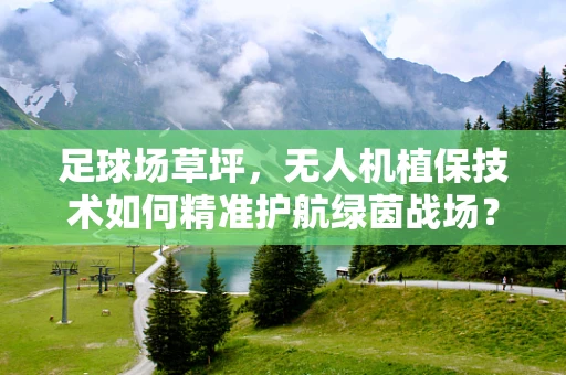 足球场草坪，无人机植保技术如何精准护航绿茵战场？