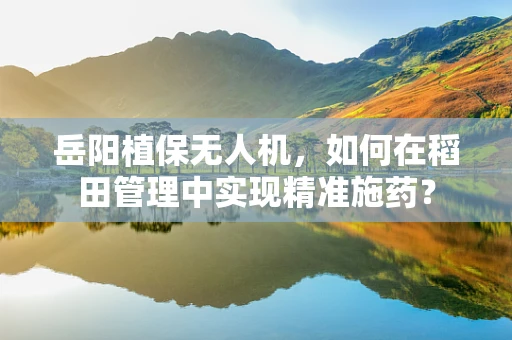 岳阳植保无人机，如何在稻田管理中实现精准施药？