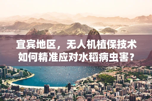 宜宾地区，无人机植保技术如何精准应对水稻病虫害？