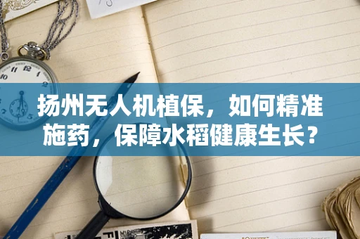 扬州无人机植保，如何精准施药，保障水稻健康生长？