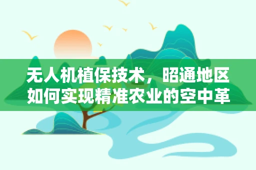 无人机植保技术，昭通地区如何实现精准农业的空中革命？