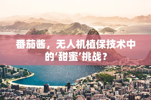 番茄酱，无人机植保技术中的‘甜蜜’挑战？