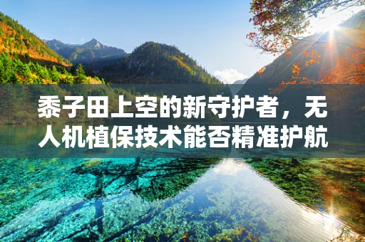 黍子田上空的新守护者，无人机植保技术能否精准护航？