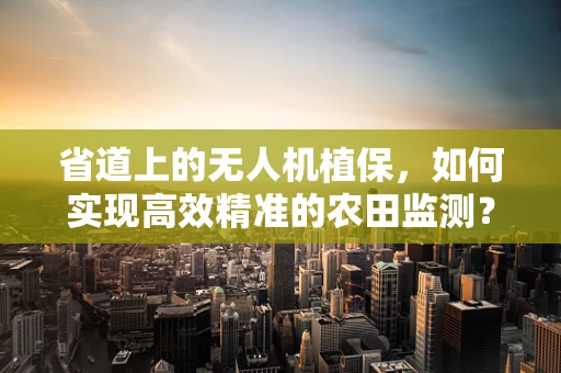 省道上的无人机植保，如何实现高效精准的农田监测？