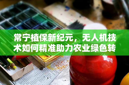 常宁植保新纪元，无人机技术如何精准助力农业绿色转型？