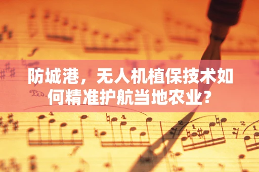 防城港，无人机植保技术如何精准护航当地农业？