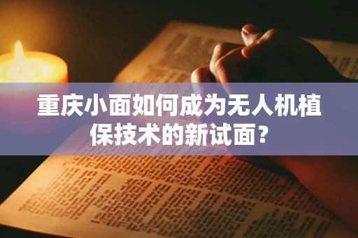 重庆小面如何成为无人机植保技术的新试面？