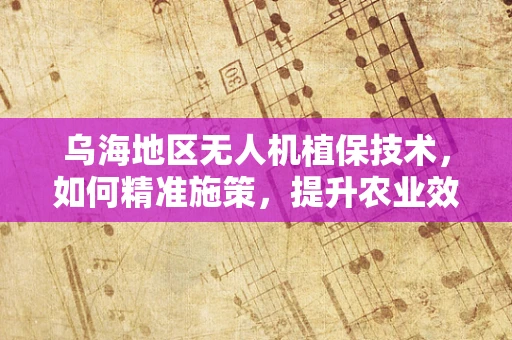 乌海地区无人机植保技术，如何精准施策，提升农业效率？
