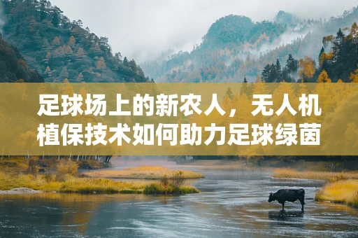 足球场上的新农人，无人机植保技术如何助力足球绿茵的维护？