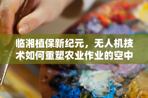 临湘植保新纪元，无人机技术如何重塑农业作业的空中之舞？