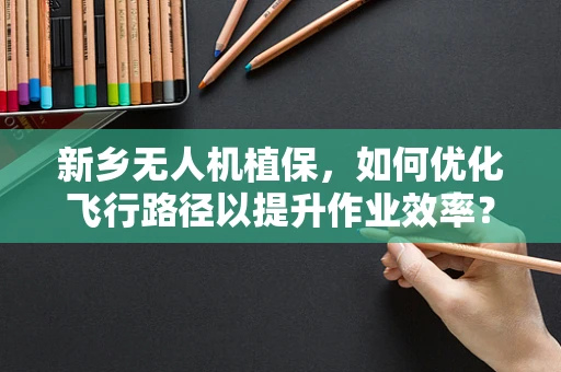 新乡无人机植保，如何优化飞行路径以提升作业效率？