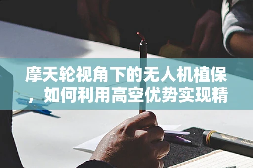 摩天轮视角下的无人机植保，如何利用高空优势实现精准作业？