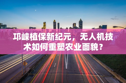 邛崃植保新纪元，无人机技术如何重塑农业面貌？