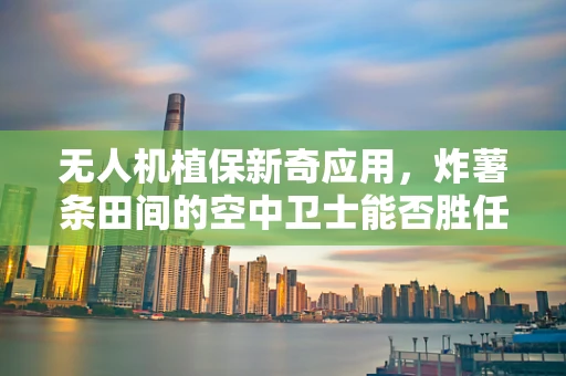 无人机植保新奇应用，炸薯条田间的空中卫士能否胜任？