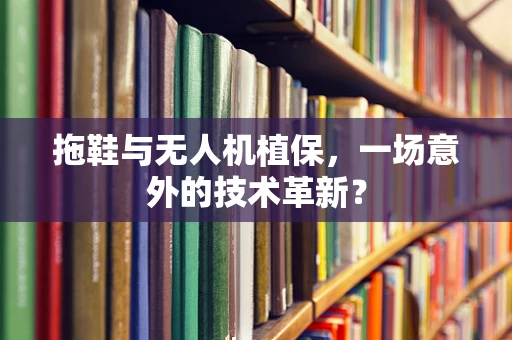 拖鞋与无人机植保，一场意外的技术革新？