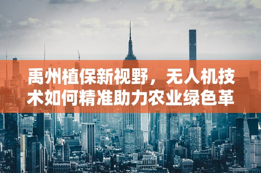 禹州植保新视野，无人机技术如何精准助力农业绿色革命？