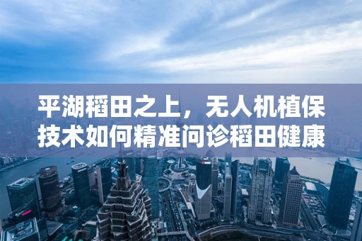 平湖稻田之上，无人机植保技术如何精准问诊稻田健康？