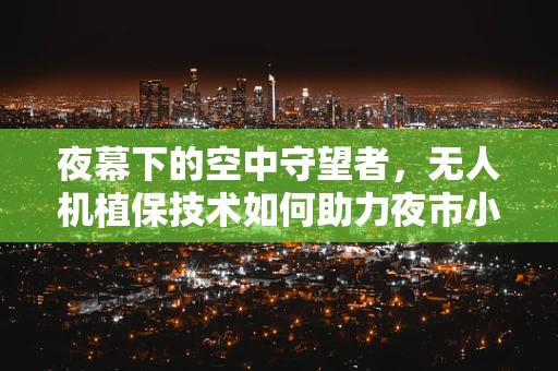 夜幕下的空中守望者，无人机植保技术如何助力夜市小吃安全？