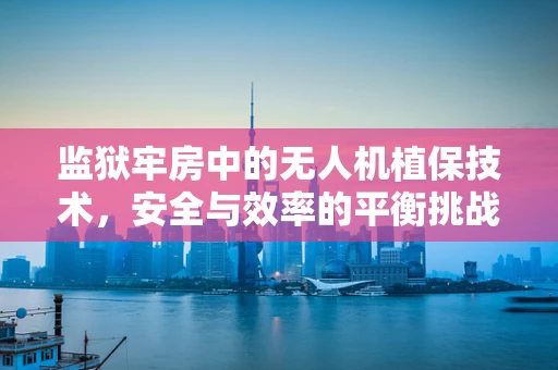 监狱牢房中的无人机植保技术，安全与效率的平衡挑战？