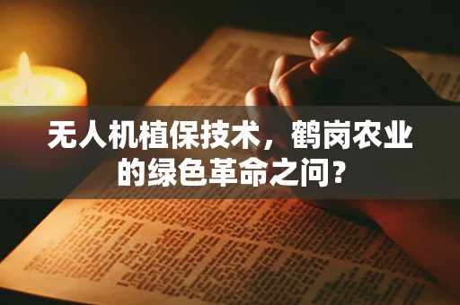 无人机植保技术，鹤岗农业的绿色革命之问？