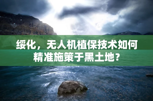 绥化，无人机植保技术如何精准施策于黑土地？