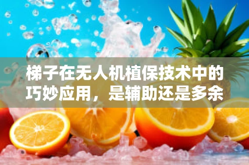 梯子在无人机植保技术中的巧妙应用，是辅助还是多余？