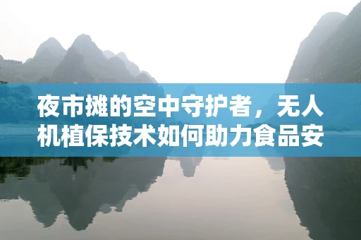 夜市摊的空中守护者，无人机植保技术如何助力食品安全与卫生？
