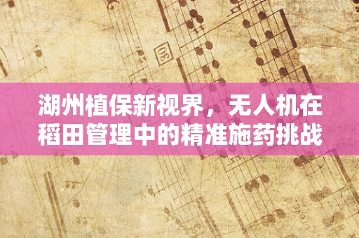 湖州植保新视界，无人机在稻田管理中的精准施药挑战与解决方案