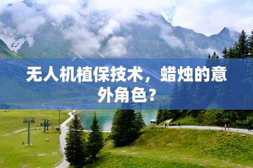 无人机植保技术，蜡烛的意外角色？