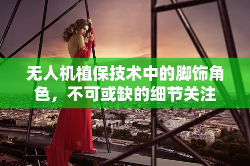 无人机植保技术中的脚饰角色，不可或缺的细节关注