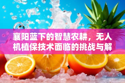 襄阳蓝下的智慧农耕，无人机植保技术面临的挑战与解决方案？