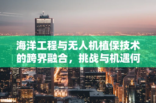 海洋工程与无人机植保技术的跨界融合，挑战与机遇何在？