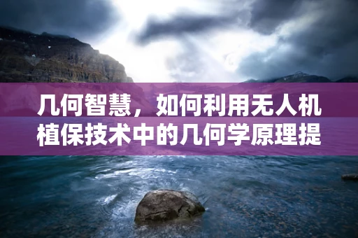 几何智慧，如何利用无人机植保技术中的几何学原理提升作物监测精度？