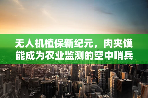 无人机植保新纪元，肉夹馍能成为农业监测的空中哨兵吗？