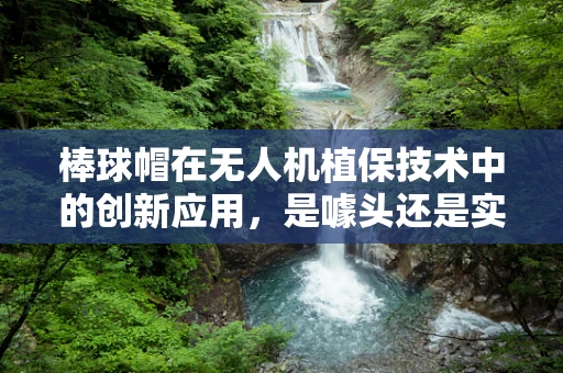 棒球帽在无人机植保技术中的创新应用，是噱头还是实用之举？